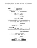 BIOMARKERS FOR THE DIAGNOSIS OF MULTIPLE SCLEROSIS diagram and image