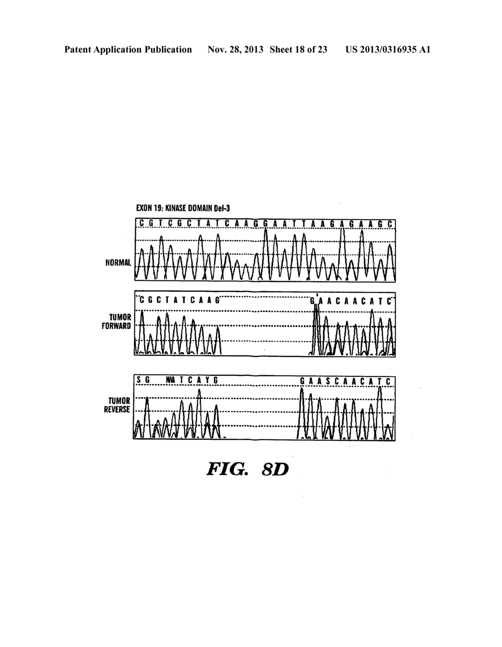 METHOD TO DETERMINE RESPONSIVENESS OF CANCER TO EPIDERMAL GROWTH FACTOR     RECEPTOR TARGETING TREATMENTS - diagram, schematic, and image 19