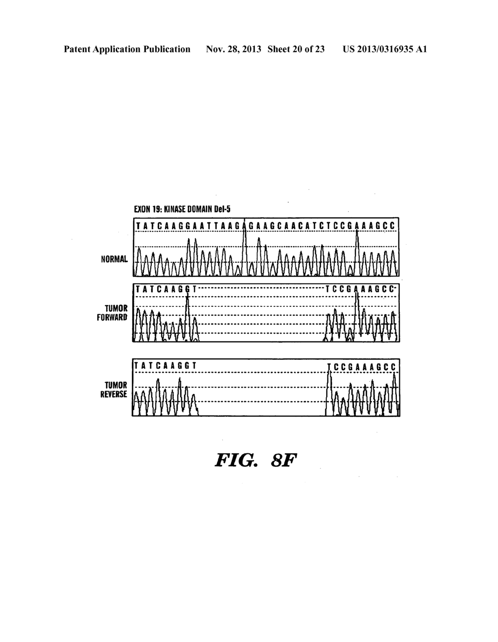 METHOD TO DETERMINE RESPONSIVENESS OF CANCER TO EPIDERMAL GROWTH FACTOR     RECEPTOR TARGETING TREATMENTS - diagram, schematic, and image 21