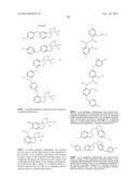 BORON-CONTAINING SMALL MOLECULES AS ANTI-INFLAMMATORY AGENTS diagram and image