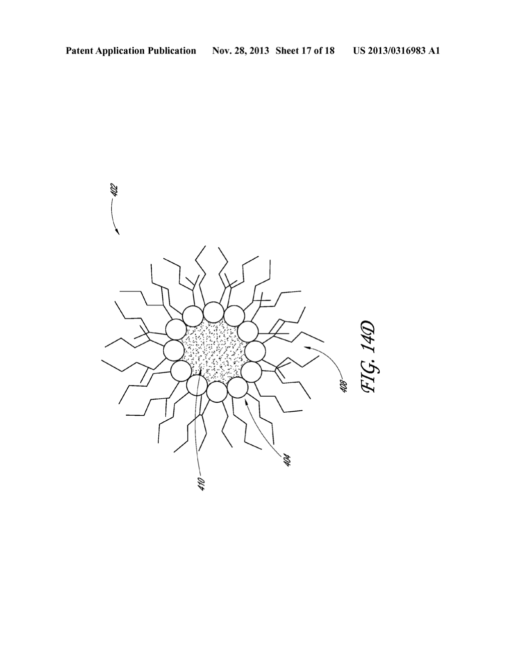 DRUG SCREENING METHOD, COMPOSITIONS AND METHODS OF TREATING GLAUCOMA - diagram, schematic, and image 18