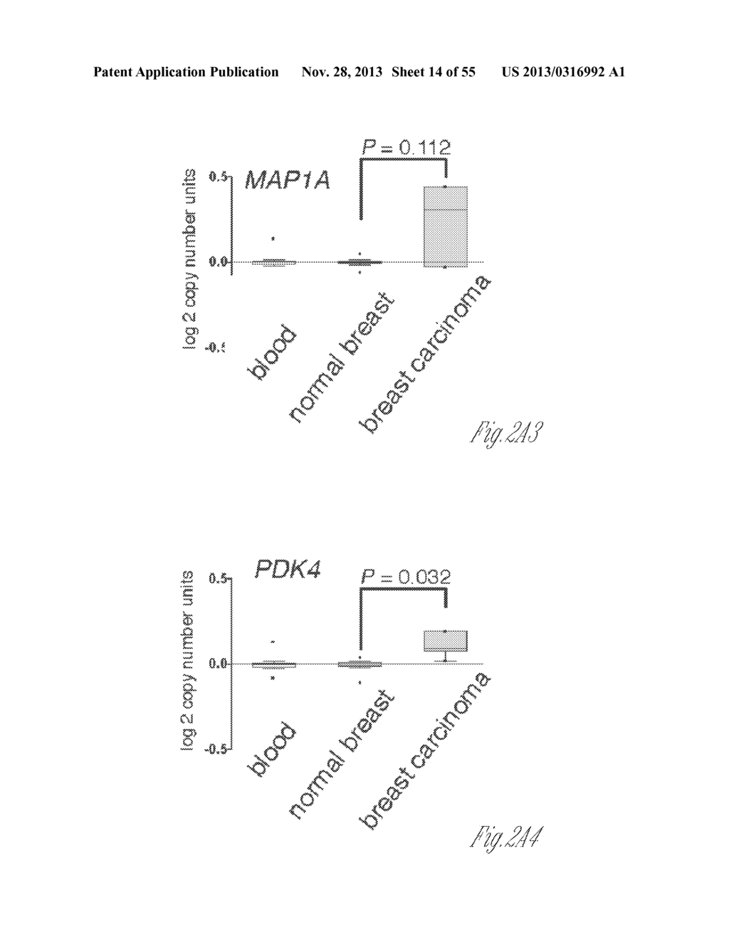 BREAST CANCER PROGNOSIS - diagram, schematic, and image 15