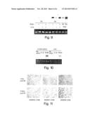 Methods for Diagnosis of Cardiovascular Disease diagram and image