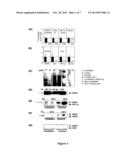 METHOD OF TREATING DIABETES diagram and image