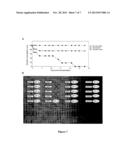 METHOD OF TREATING DIABETES diagram and image