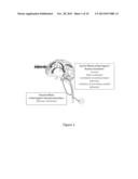 Compositions and Methods Useful for Treatment and Prevention of     Incontinence diagram and image