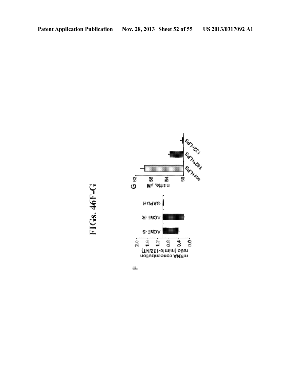 AGENTS, COMPOSITIONS AND METHODS FOR TREATING PATHOLOGIES IN WHICH     REGULATING AN ACHE-ASSOCIATED BIOLOGICAL PATHWAY IS BENEFICIAL - diagram, schematic, and image 53