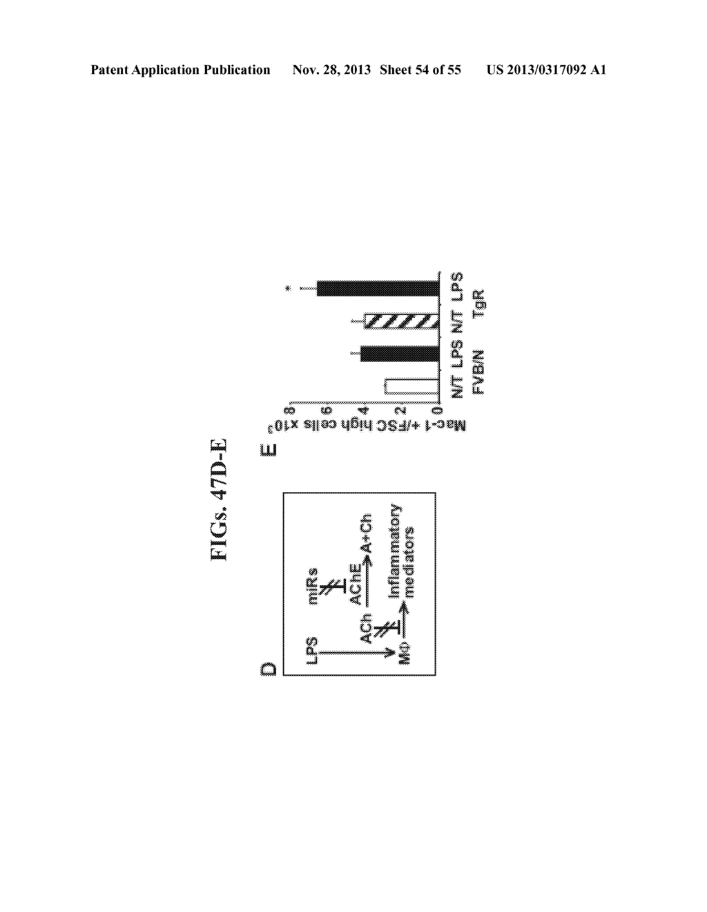 AGENTS, COMPOSITIONS AND METHODS FOR TREATING PATHOLOGIES IN WHICH     REGULATING AN ACHE-ASSOCIATED BIOLOGICAL PATHWAY IS BENEFICIAL - diagram, schematic, and image 55