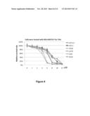 SINGLETON INHIBITORS OF SUMOYLATION ENZYMES AND METHODS FOR THEIR USE diagram and image