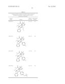 SINGLETON INHIBITORS OF SUMOYLATION ENZYMES AND METHODS FOR THEIR USE diagram and image