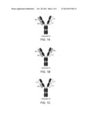 Methods of Purifying Antibodies diagram and image