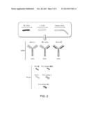 Methods of Purifying Antibodies diagram and image