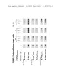 2,4-PYRIMIDINEDIAMINE COMPOUNDS AND THEIR USES diagram and image