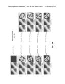 Continuous Modeling for Dipole Localization from 2D MCG Images with     Unknown Depth diagram and image