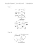 IMAGING AGENTS AND METHODS OF USE THEREOF diagram and image