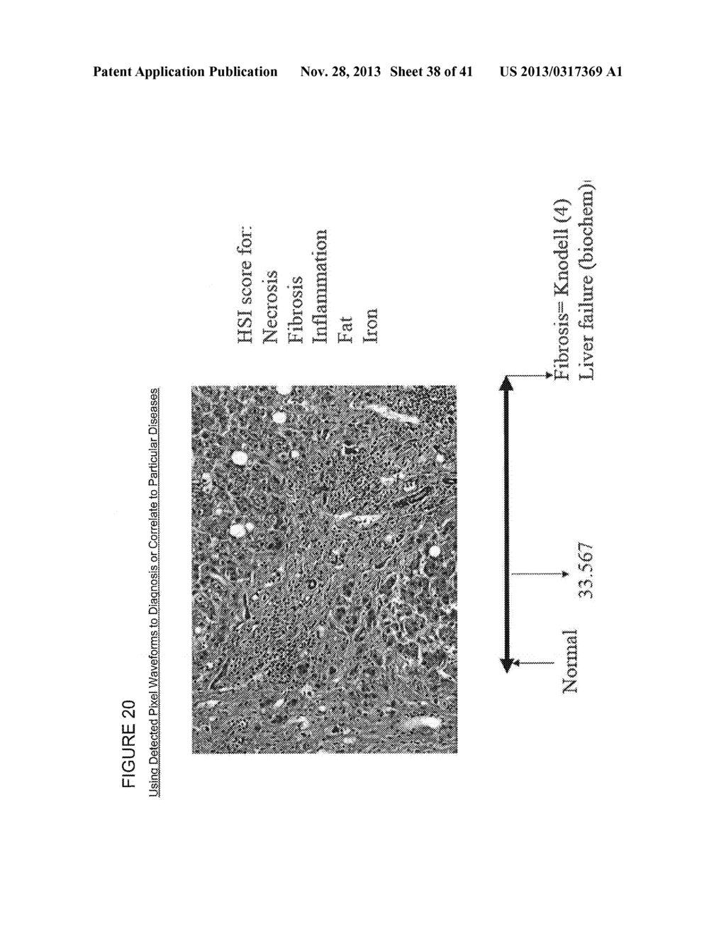 DEVICES, SYSTEMS, AND METHODS FOR VIRTUAL STAINING - diagram, schematic, and image 39