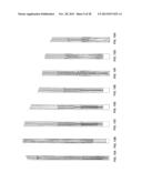 MULTI-LUMEN CENTRAL ACCESS VENA CAVA FILTER APPARATUS FOR CLOT MANAGEMENT     AND METHOD OF USING SAME diagram and image