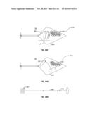 MULTI-LUMEN CENTRAL ACCESS VENA CAVA FILTER APPARATUS FOR CLOT MANAGEMENT     AND METHOD OF USING SAME diagram and image