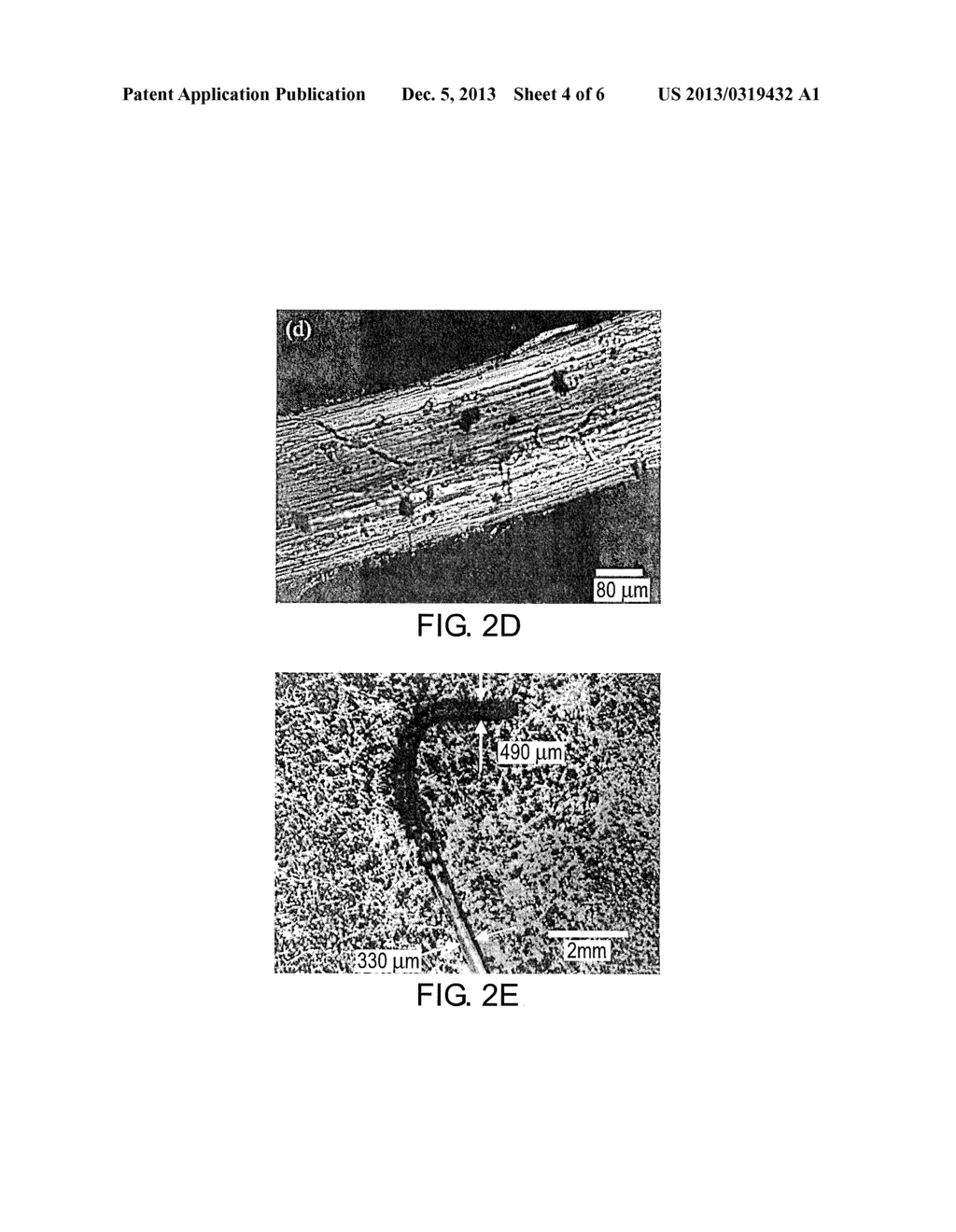 HOLLOW/POROUS FIBERS AND APPLICATIONS THEREOF - diagram, schematic, and image 05