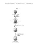 HYBRID NANOSTRUCTURE INCLUDING GOLD NANOPARTICLES AND PHOTOELECTRODE FOR     SOLAR CELL HAVING THE SAME diagram and image