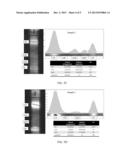 COMPOSITION AND METHOD FOR GEL ELECTROPHORESIS WITH IN-SITU CALIBRATION diagram and image