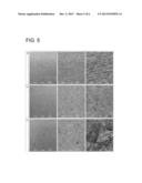 ELECTROLYTIC SOLUTION, ELECTROLYSIS CASE, ELECTROPOLISHING SYSTEM, AND     ELECTROPOLISHING METHOD USING THESE diagram and image