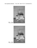 SYSTEMS AND METHODS FOR LENS SHADING CORRECTION diagram and image