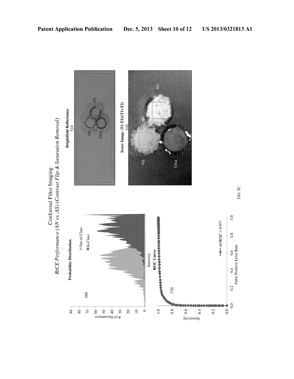 System and Method for Assessing Tissue Oxygenation Using a Conformal     Filter - diagram, schematic, and image 11