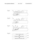 Endoscope With Adjustable Illumination Direction diagram and image