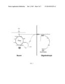 METABOLIC THERAPY FOR OXIDATIVE STRESS IN THE BRAIN THROUGH TARGETED     NEURONAL CATABOLISM OF N-ACETYL-ASPARTIC ACID diagram and image