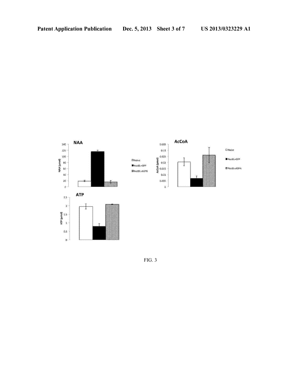 METABOLIC THERAPY FOR OXIDATIVE STRESS IN THE BRAIN THROUGH TARGETED     NEURONAL CATABOLISM OF N-ACETYL-ASPARTIC ACID - diagram, schematic, and image 04