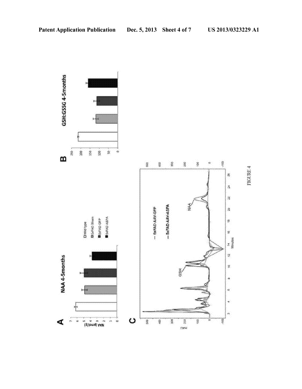 METABOLIC THERAPY FOR OXIDATIVE STRESS IN THE BRAIN THROUGH TARGETED     NEURONAL CATABOLISM OF N-ACETYL-ASPARTIC ACID - diagram, schematic, and image 05