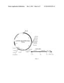 METABOLIC THERAPY FOR OXIDATIVE STRESS IN THE BRAIN THROUGH TARGETED     NEURONAL CATABOLISM OF N-ACETYL-ASPARTIC ACID diagram and image