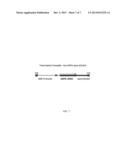 METABOLIC THERAPY FOR OXIDATIVE STRESS IN THE BRAIN THROUGH TARGETED     NEURONAL CATABOLISM OF N-ACETYL-ASPARTIC ACID diagram and image