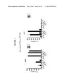 HUMANIZED ANTIBODIES AGAINST LIGHT AND USES THEREOF diagram and image