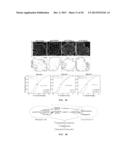 TREATMENT OF ANGIOGENESIS DISORDERS diagram and image