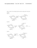 CYTOTOXIC AGENTS COMPRISING NEW ANSAMITOCIN DERIVATIVES diagram and image