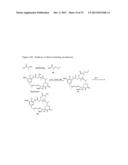 CYTOTOXIC AGENTS COMPRISING NEW ANSAMITOCIN DERIVATIVES diagram and image