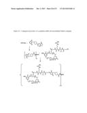 CYTOTOXIC AGENTS COMPRISING NEW ANSAMITOCIN DERIVATIVES diagram and image