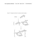 CYTOTOXIC AGENTS COMPRISING NEW ANSAMITOCIN DERIVATIVES diagram and image