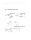 CYTOTOXIC AGENTS COMPRISING NEW ANSAMITOCIN DERIVATIVES diagram and image