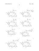 CYTOTOXIC AGENTS COMPRISING NEW ANSAMITOCIN DERIVATIVES diagram and image