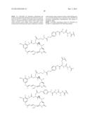 CYTOTOXIC AGENTS COMPRISING NEW ANSAMITOCIN DERIVATIVES diagram and image