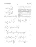 CYTOTOXIC AGENTS COMPRISING NEW ANSAMITOCIN DERIVATIVES diagram and image