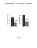 COMPOSITIONS AND METHODS FOR TREATING FOXP3+ TREG RELATED DISEASES diagram and image