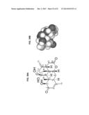 PLANT EXTRACTS FOR THE TREATMENT AND PREVENTION OF INFECTIONS diagram and image