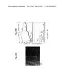 OXIDATION RESISTANT ALLOY COATING FILM, METHOD OF PRODUCING AN OXIDATION     RESISTANT ALLOY COATING FILM, AND HEAT RESISTANT METAL MEMBER diagram and image