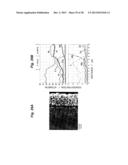 OXIDATION RESISTANT ALLOY COATING FILM, METHOD OF PRODUCING AN OXIDATION     RESISTANT ALLOY COATING FILM, AND HEAT RESISTANT METAL MEMBER diagram and image