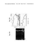 OXIDATION RESISTANT ALLOY COATING FILM, METHOD OF PRODUCING AN OXIDATION     RESISTANT ALLOY COATING FILM, AND HEAT RESISTANT METAL MEMBER diagram and image