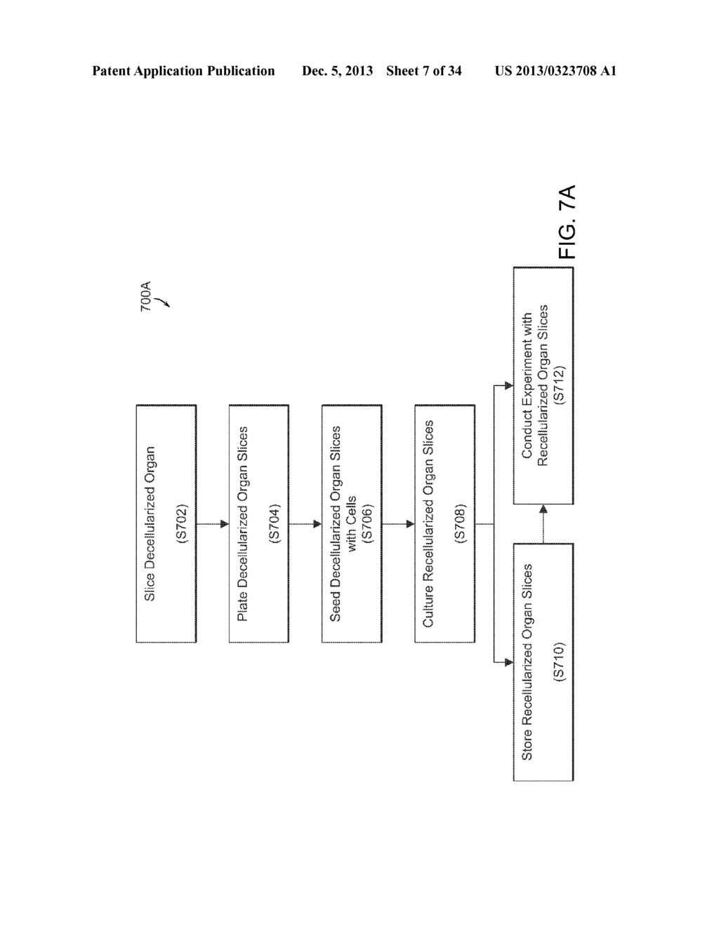 ISOLATED ADULT CELLS, ARTIFICIAL ORGANS, REHABILITATED ORGANS, RESEARCH     TOOLS, ORGAN ENCASEMENTS, ORGAN PERFUSION SYSTEMS, AND METHODS FOR     PREPARING AND UTILIZING THE SAME - diagram, schematic, and image 08